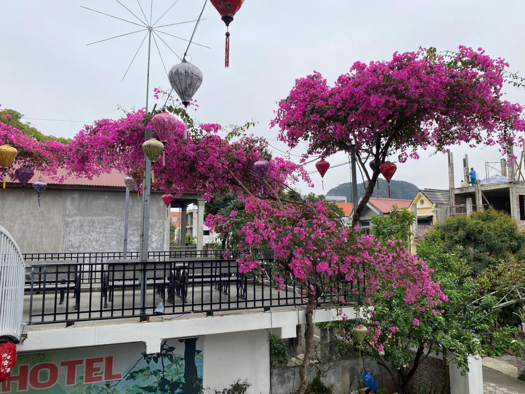 Elizabeth Hotel Tam Coc Нин Бин Екстериор снимка